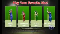 I P Lead Cricket 2015 Pro Screen Shot 1
