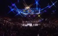 Action: WWE VS UFC Warriors Screen Shot 2