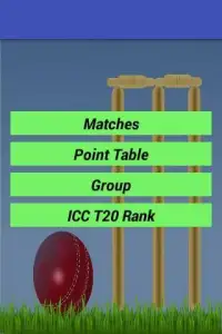 Twenty 20 Cricket World Cup Screen Shot 4