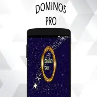 Dominos Pro Screen Shot 2