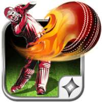 Cricket Ball Balance:T20 WAR