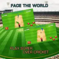 Super Over Cricket Screen Shot 1