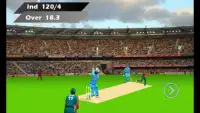 I P Lead Cricket 2015 Pro Screen Shot 5