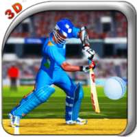 Cricket Hero Challenge 3D 2016