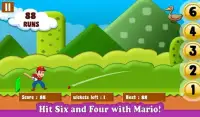 Mario Cricket World Screen Shot 5