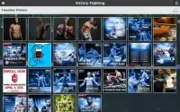 Victory Fighting - VFC Screen Shot 0