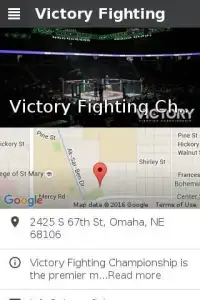 Victory Fighting - VFC Screen Shot 2