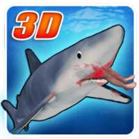 Hungry Blue Shark 3D