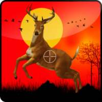 Real Sniper Deer Hunting 2016
