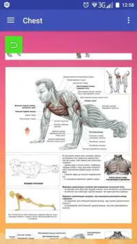 All exercises for all muscles Screen Shot 1
