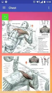 All exercises for all muscles Screen Shot 1
