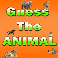 Wild Animals And Pets Quiz