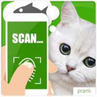 What cat want scanner joke