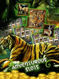 Wild Jungle Slots – Slot Fever Screen Shot 1