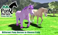 Pony Horses Green Hill Sim 3D Screen Shot 8