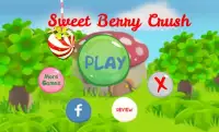 Sweet Berry Crush Screen Shot 5