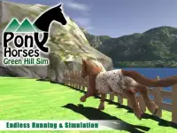 Pony Horses Green Hill Sim 3D Screen Shot 1