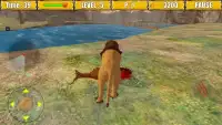 Wild Lion Simulator Game Screen Shot 1