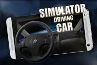 Simulator driving car Screen Shot 0