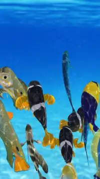 Happy Fish 3D Screen Shot 9