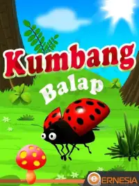 Balap Kumbang (Offline) Screen Shot 4