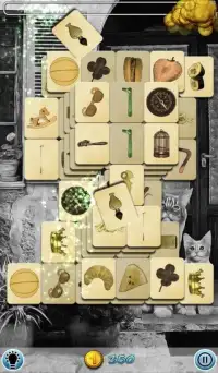 Hidden Mahjong: The Cat Family Screen Shot 2