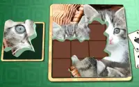 Jigsaw Solitaire - Kitties Screen Shot 5
