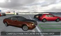 Multi Level Parking Mania 2016 Screen Shot 0