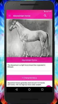 The Horses Quiz + Guide. Screen Shot 3