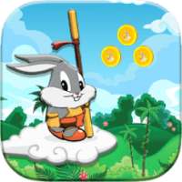 Super Bunny Run