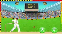 Defend the Wicket - Cricket Screen Shot 2