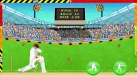 Defend the Wicket - Cricket Screen Shot 0