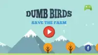 Dumb Birds - Save the farm Screen Shot 2