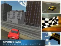 Sports Car Driving Simulator Screen Shot 8