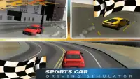 Sports Car Driving Simulator Screen Shot 0