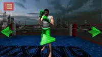 الملاكمة 3D البطل Screen Shot 0