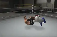 Fight WWE Style Training Screen Shot 1