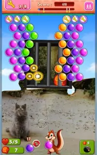 Hidden Bubbles: Cats Island Screen Shot 1
