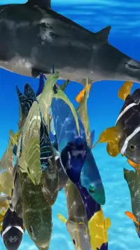 Happy Fish 3D Screen Shot 8