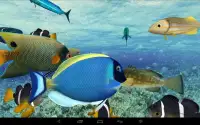 Happy Fish 3D Screen Shot 0