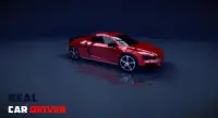 Real Car Driver 3D Screen Shot 7