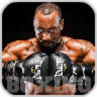 Super Boxing Game