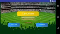 Car Cricket Screen Shot 2