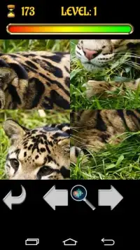 Big Cats Puzzles – Free Jigsaw Screen Shot 0