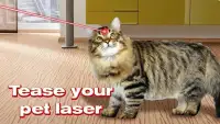 Laser Kitten Simulator Pro Screen Shot 2