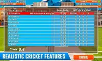 Real Street Cricket Cup 2017 Screen Shot 1