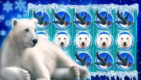 Polar Bear: Free Slots Casino Screen Shot 3