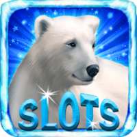Polar Bear: Free Slots Casino