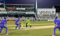 Cricket Pro World Screen Shot 0