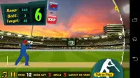 World Cricket: I.P.L T20 2016 Screen Shot 0